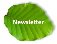 Wurzelkraft Newsletter